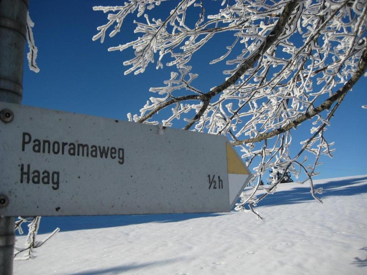 Ferienwohnung Haus Panorama Oy-Mittelberg Exterior foto